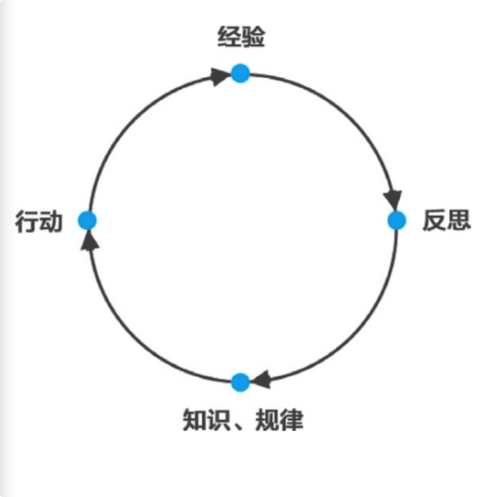 自我学习循环
