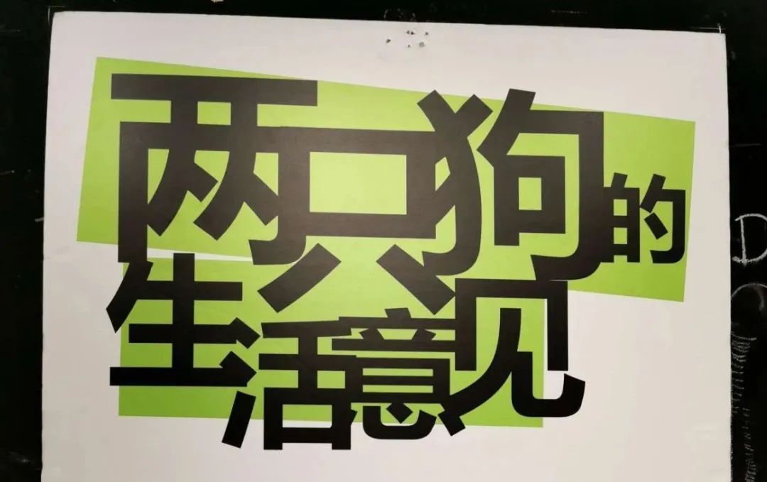 两只狗的生活意见｜话剧｜一个打工人的观后感
